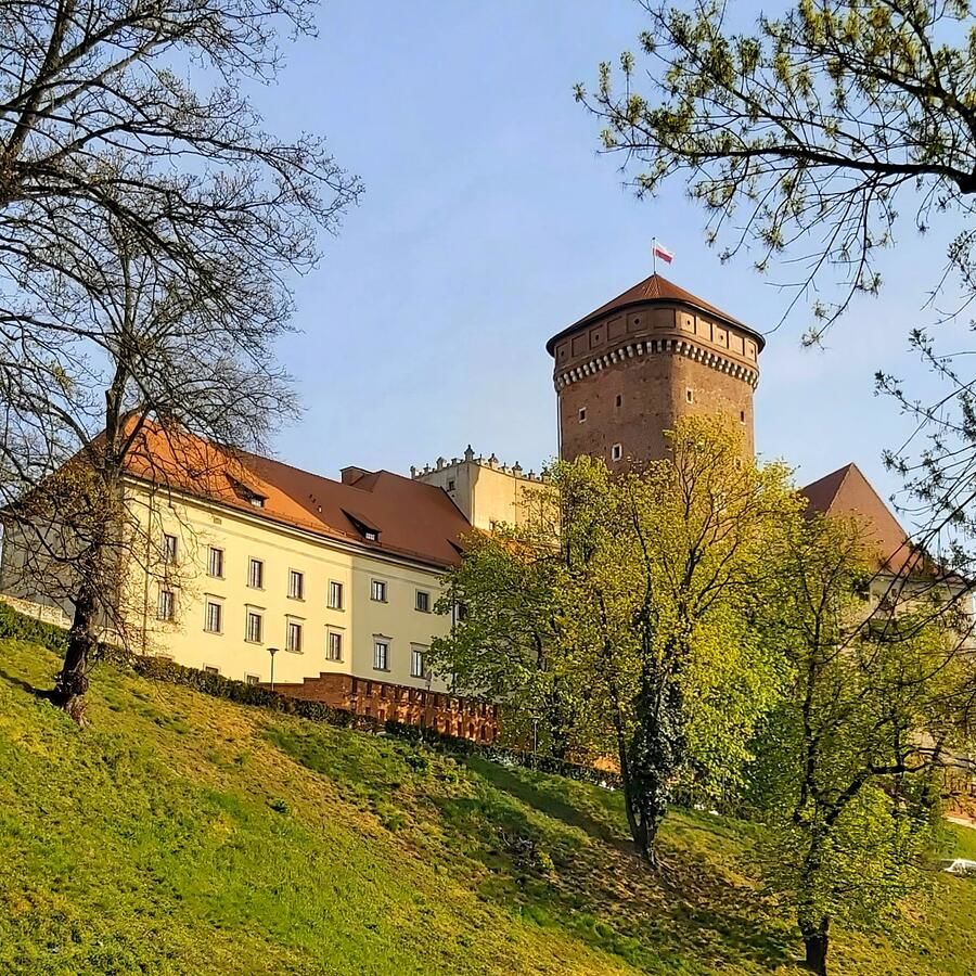 Отель Hotel Wawel Краков-16